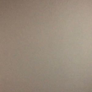 Meet your Posher, Rose